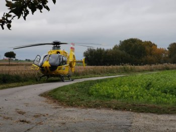 Bild 3 von 3