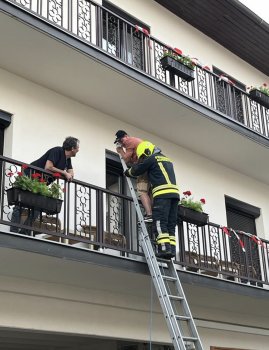 Bild 2 von 9