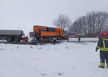 Bild 5 von 6