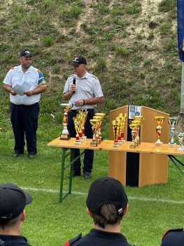 Bild 12 von 14