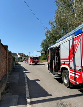 Bild 1 von 5