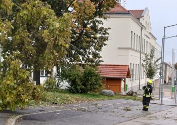 Bild 1 von 2
